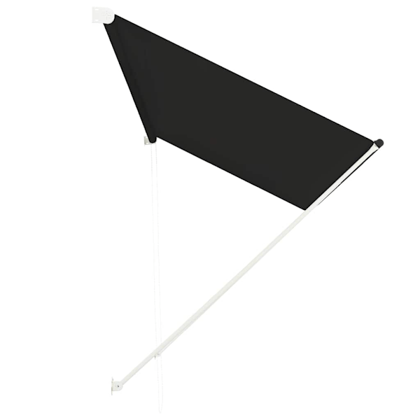 vidaXL Markis 300x150 cm antracit Antracit