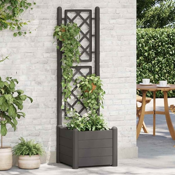 vidaXL Odlingslåda med spaljé 43x43x142 cm PP antracit Antracit