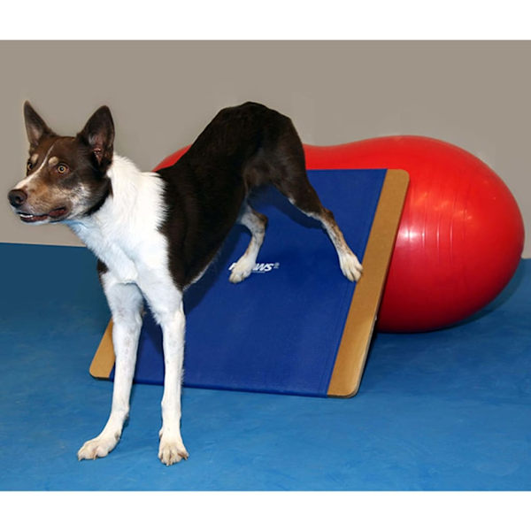 FitPAWS Enorm balansbräda 75x75 cm blå Blå
