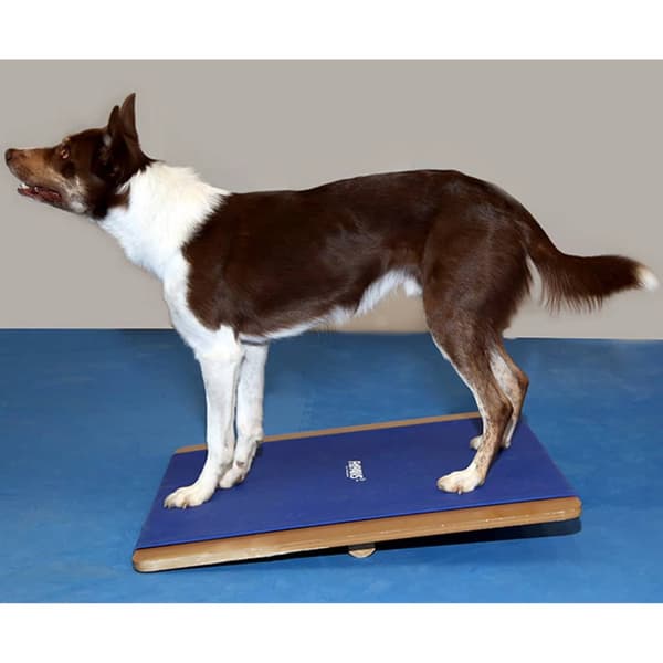 FitPAWS Enorm balansbräda 75x75 cm blå Blå