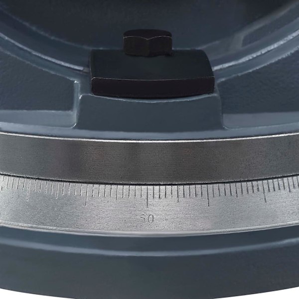 vidaXL Vinklingsbart skruvstycke 2 axlar 160 mm
