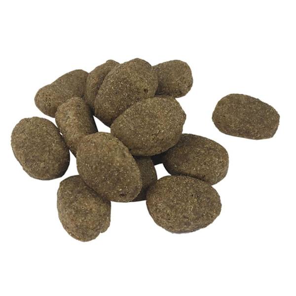 vidaXL Premium Hundmat torr Adult Sensitive Lamb & Rice 2 st 30