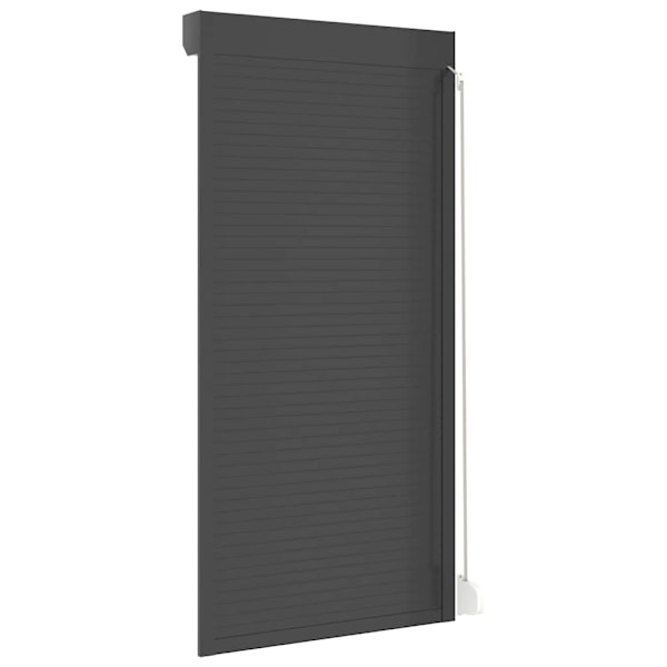 vidaXL Rulljalusi aluminium 100x210 cm antracit Antracit