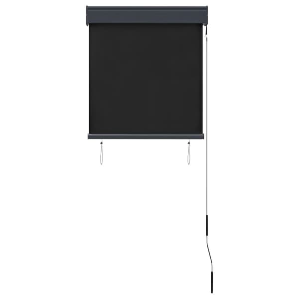 vidaXL Rullgardin utomhus 60x250 cm antracit Antracit