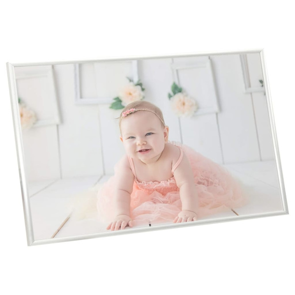 vidaXL Fotoramar 5 st för bord silver 13x18cm MDF Silver
