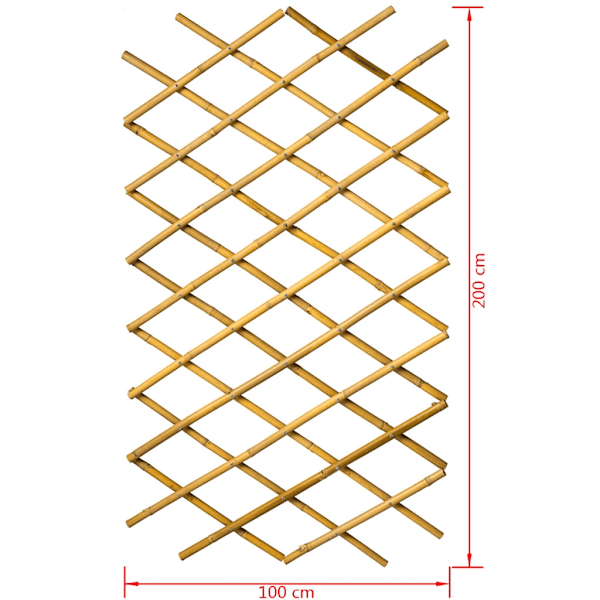 Nature Trädgårdsspaljé 100x200 cm Bambu 6040722 Brun