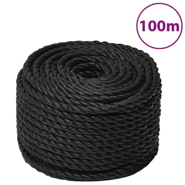 vidaXL Rep svart 12 mm 100 m polypropen Svart