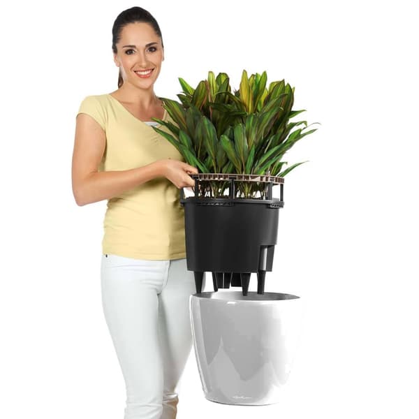 LECHUZA Blomkruka CLASSICO LS 43 ALL-IN-ONE vit högglans 16080 Vit