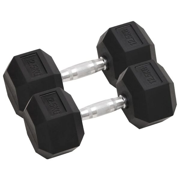 vidaXL Hantlar 2 st 25 kg gjutjärn