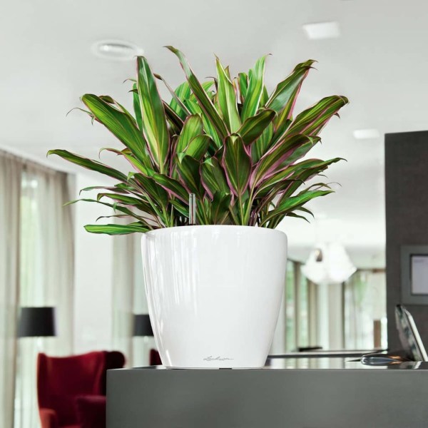 LECHUZA Blomkruka CLASSICO LS 28 ALL-IN-ONE vit högglans 16040 Vit