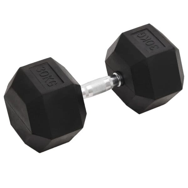 vidaXL Hantel 30 kg gjutjärn art