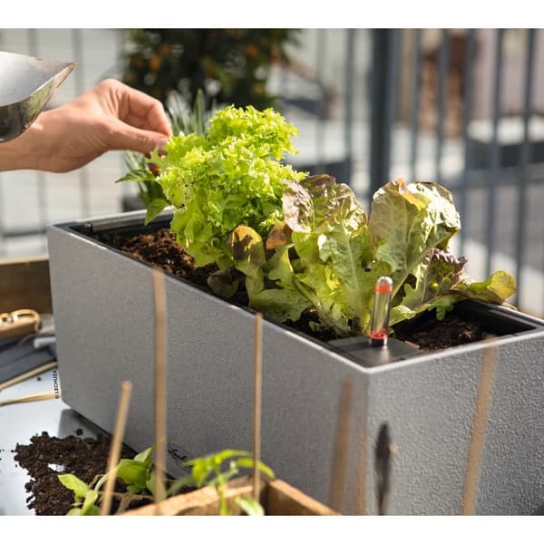 LECHUZA Odlingsenhet BALCONERA Stone 50 ALL-IN-ONE grå grå