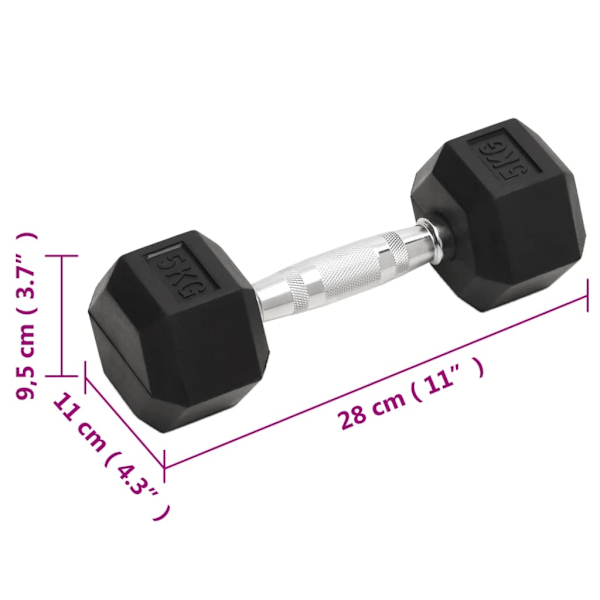 vidaXL Hantlar 2 st 10 kg gjutjärn