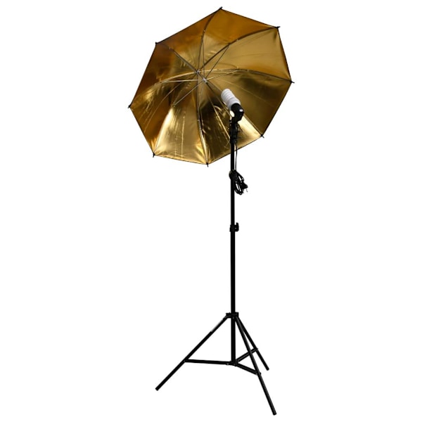 vidaXL Fotoutrustning med lampor och softboxar multifärg