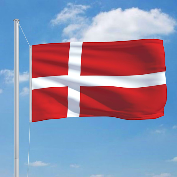 vidaXL Danmarks flagga 90x150 cm Flerfärgsdesign