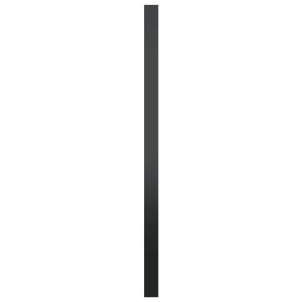 vidaXL Väggspegel svart 60 cm Svart