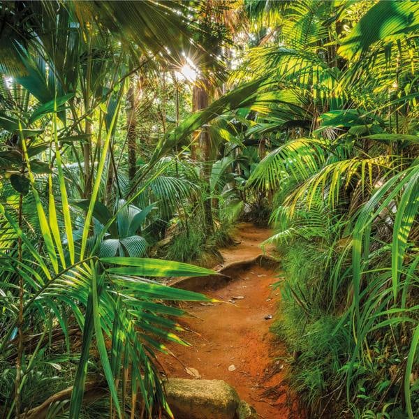Komar Fototapet Jungle Trail 368x254 cm Grön