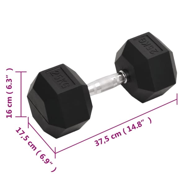 vidaXL Hantel 25 kg gjutjärn art