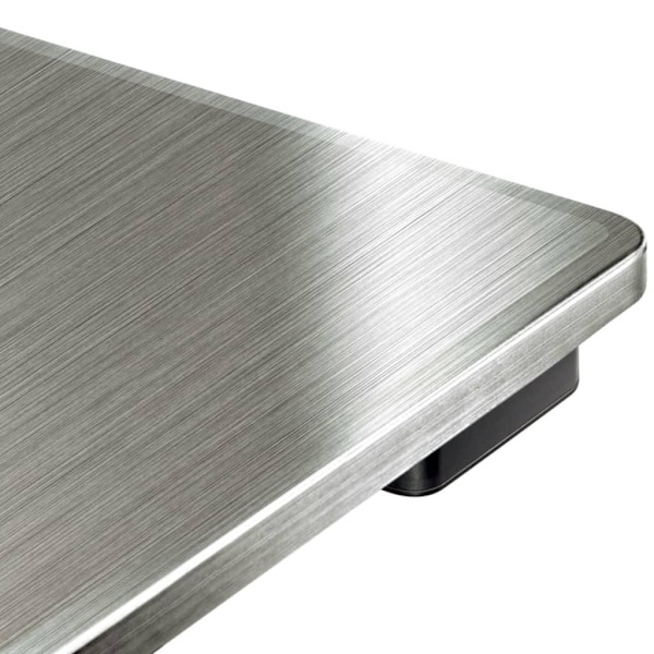 Soehnle Badrumsvåg Style Sense Safe 300 silver 180 kg 63867 Silver