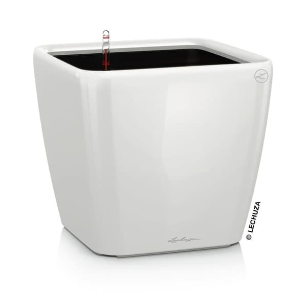 LECHUZA Blomkruka QUADRO LS  21 ALL-IN-ONE vit högglans Vit