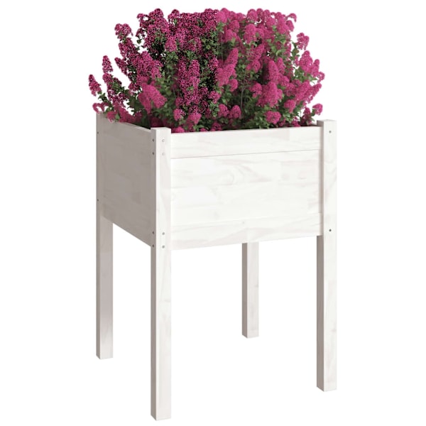 vidaXL Odlingslåda vit 50x50x70 cm massiv furu Vit