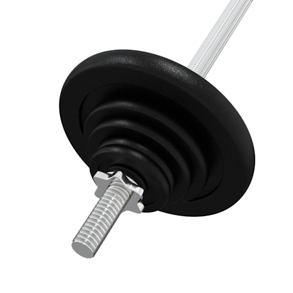 vidaXL Skivstång med vikter set 30 kg gjutjärn