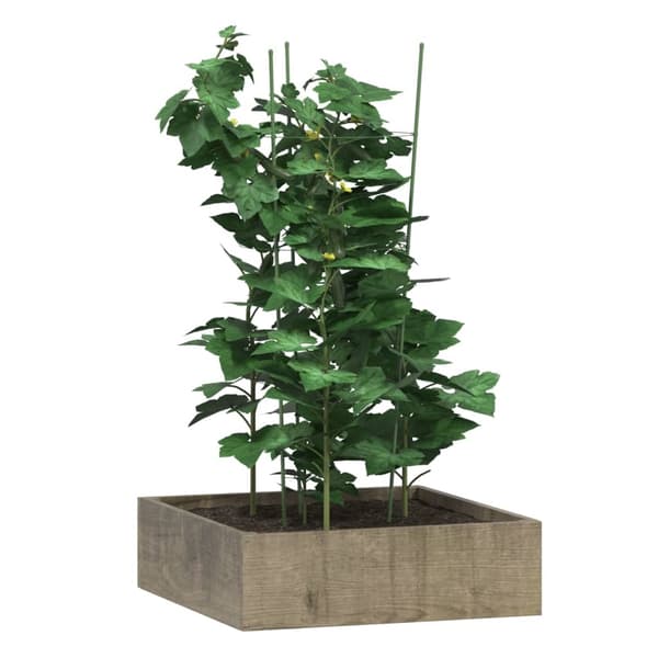 vidaXL Växtstöd med 3 ringar 5 st grön 75 cm stål