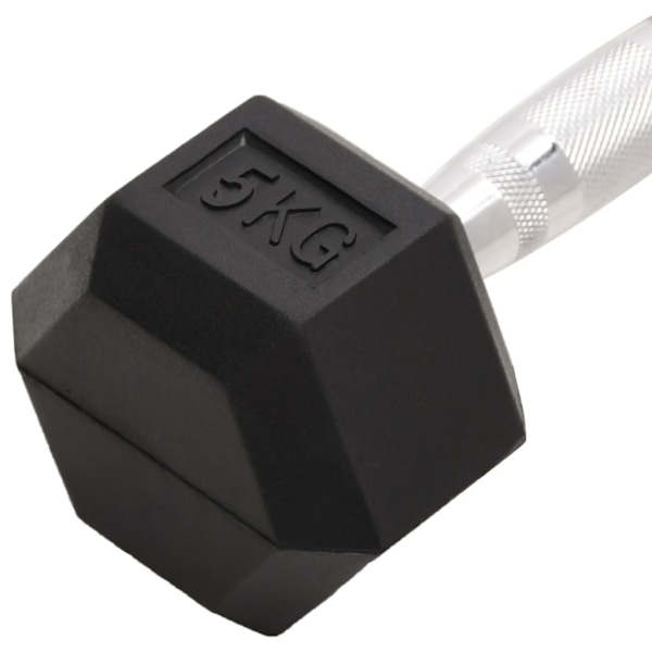 vidaXL Hantlar 2 st 10 kg gjutjärn