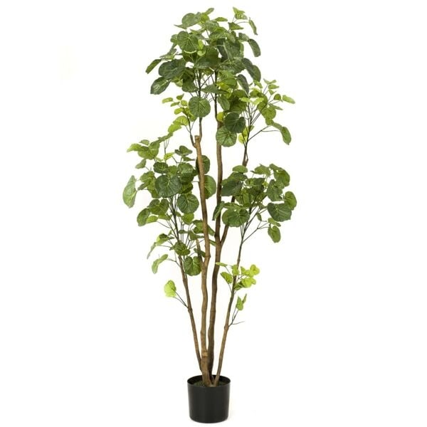 Emerald Konstväxt nätaralia i kruka 160 cm Grön
