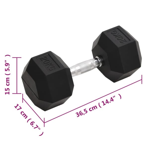 vidaXL Hantel 20 kg gjutjärn art