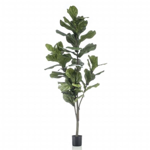 Emerald Konstväxt fiolfikus 160 cm Grön