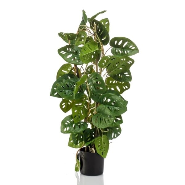 Emerald Konstväxt Monstera Monkey 75 cm i kruka Grön