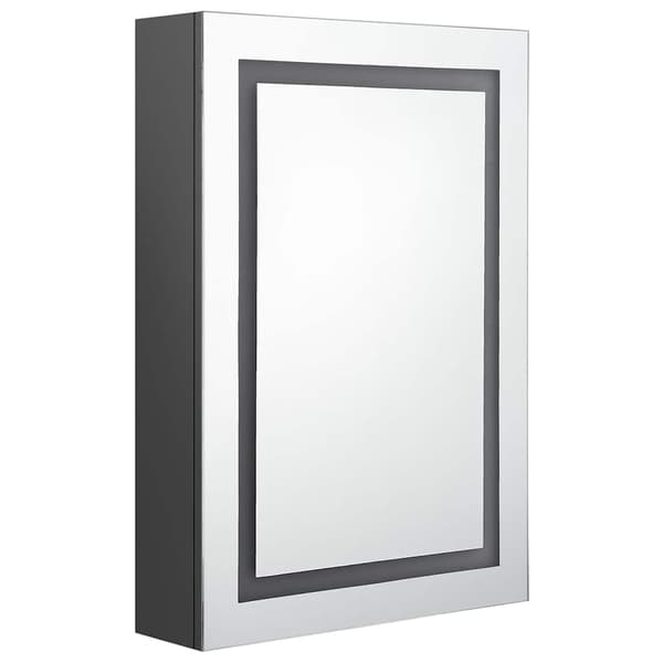 vidaXL Spegelskåp med LED grå 50x13x70 cm grå
