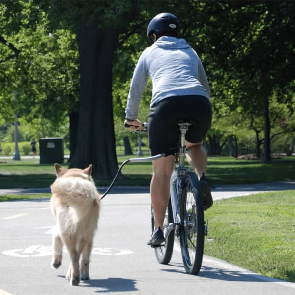 PetEgo Universellt hundkoppel för cykel Cycleash 85 cm multifärg