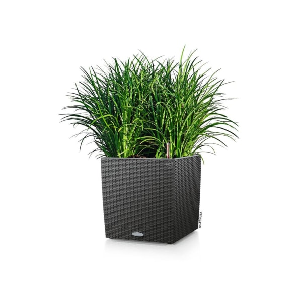 LECHUZA Odlingsenhet CUBE Cottage 30 ALL-IN-ONE granit Antracit