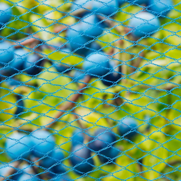 Nature Fågelnät Nano 10x4 m blå Blå