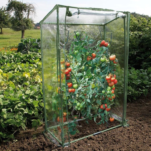 Nature vidaXL Växthus för tomatodling 100x50x150 cm Transparent