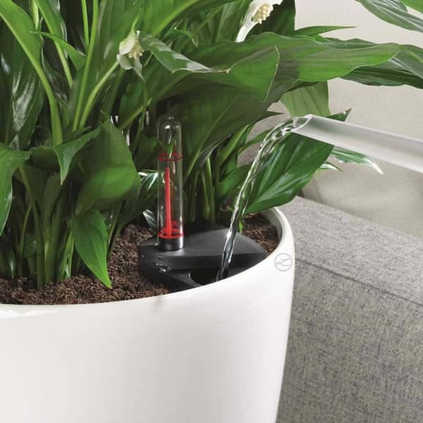 LECHUZA Blomkruka CLASSICO LS 43 ALL-IN-ONE vit högglans 16080 Vit