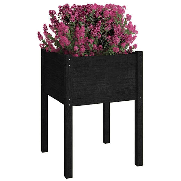 vidaXL Odlingslådor 2 st svart 50x50x70 cm massiv furu Svart