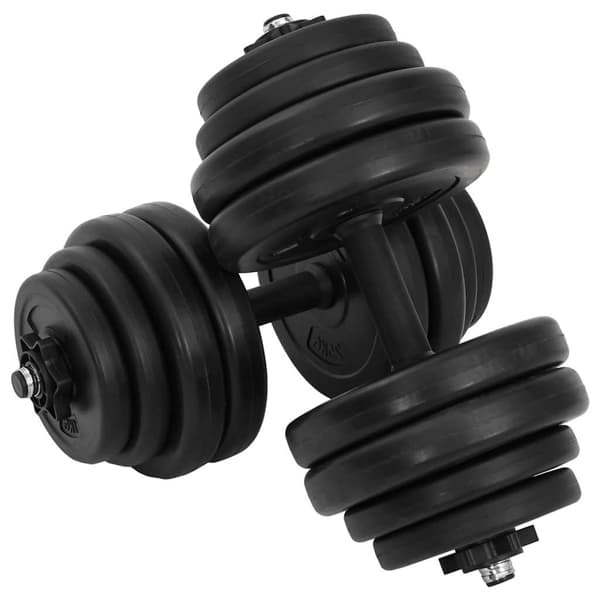 vidaXL Hantlar 2-pack totalvikt 30 kg Svart