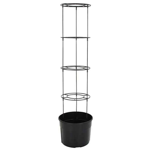 vidaXL Kruka för tomatplanta Ø39x150 cm polypropylen Antracit