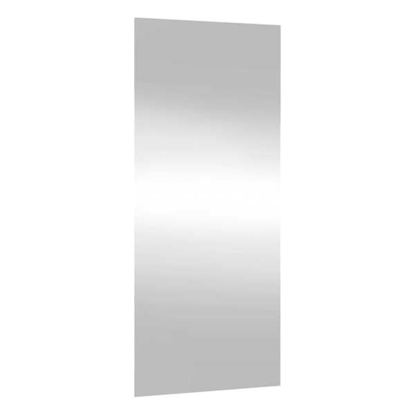 vidaXL Väggspegel 30x80 cm glas rektangulär Silver