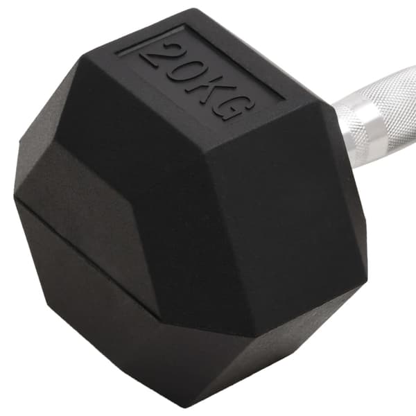 vidaXL Hantel 20 kg gjutjärn art