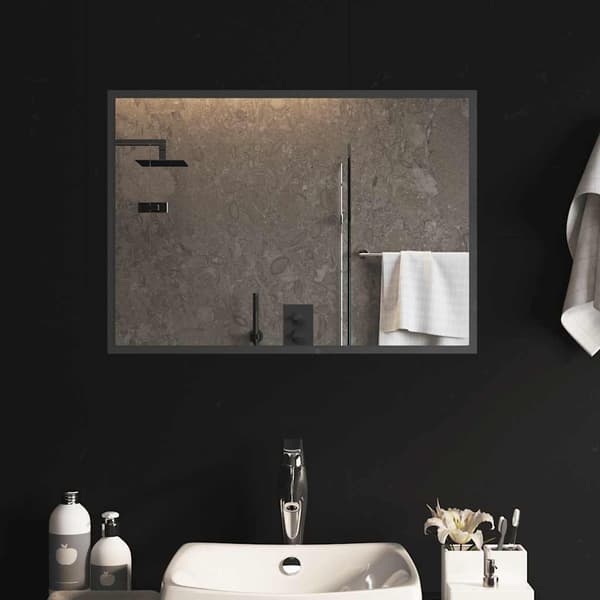 vidaXL Badrumsspegel LED 70x50 cm Transparent