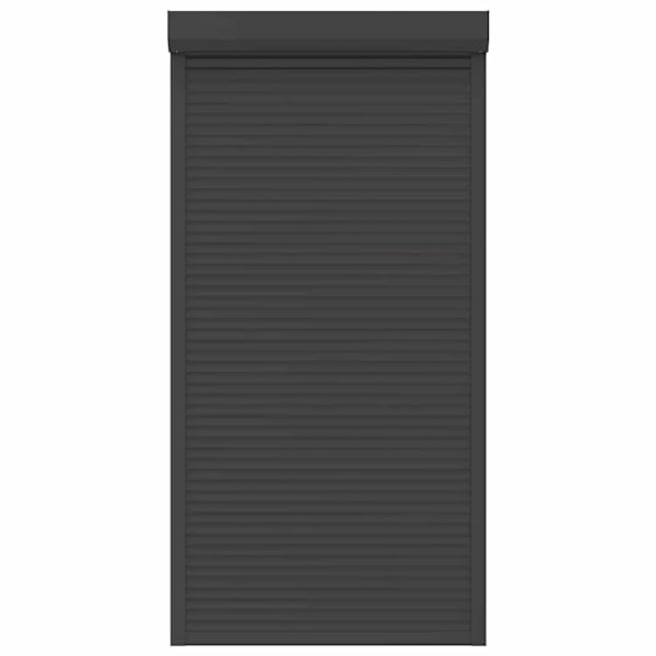 vidaXL Rulljalusi aluminium 110x220 cm antracit Antracit