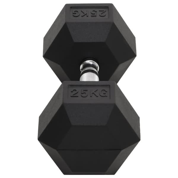 vidaXL Hantel 25 kg gjutjärn art