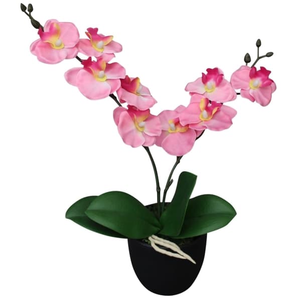 vidaXL Konstväxt Orkidé med kruka 30 cm rosa Rosa