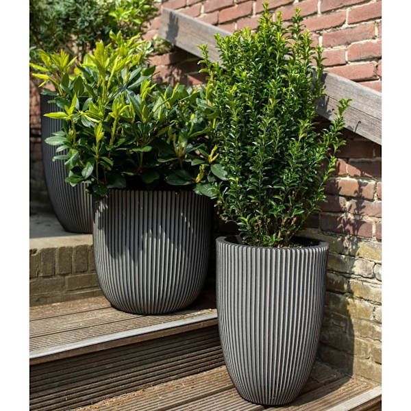 Capi Blomkruka Groove 35x34 cm antracit Antracit