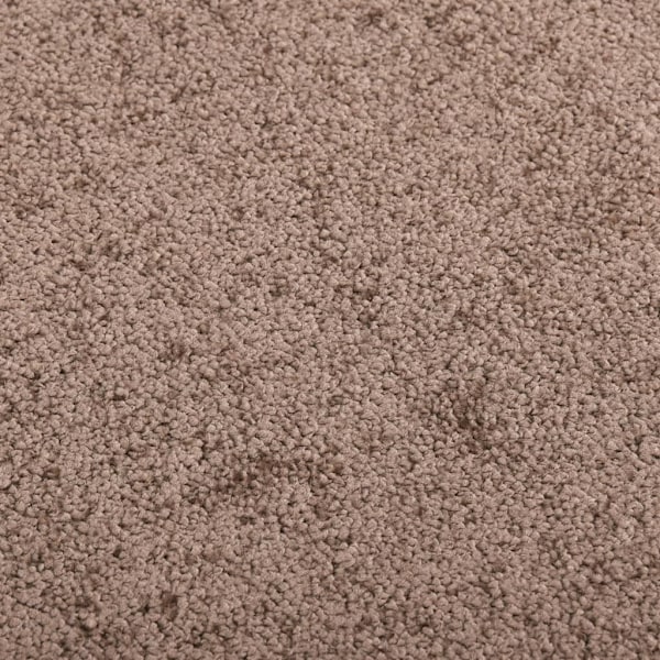 vidaXL Dörrmatta brun 60x80 cm Brun