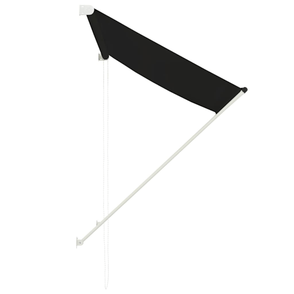 vidaXL Markis 100x150 cm antracit Antracit